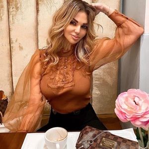 NWOT: Zara Organza Brown Blouse